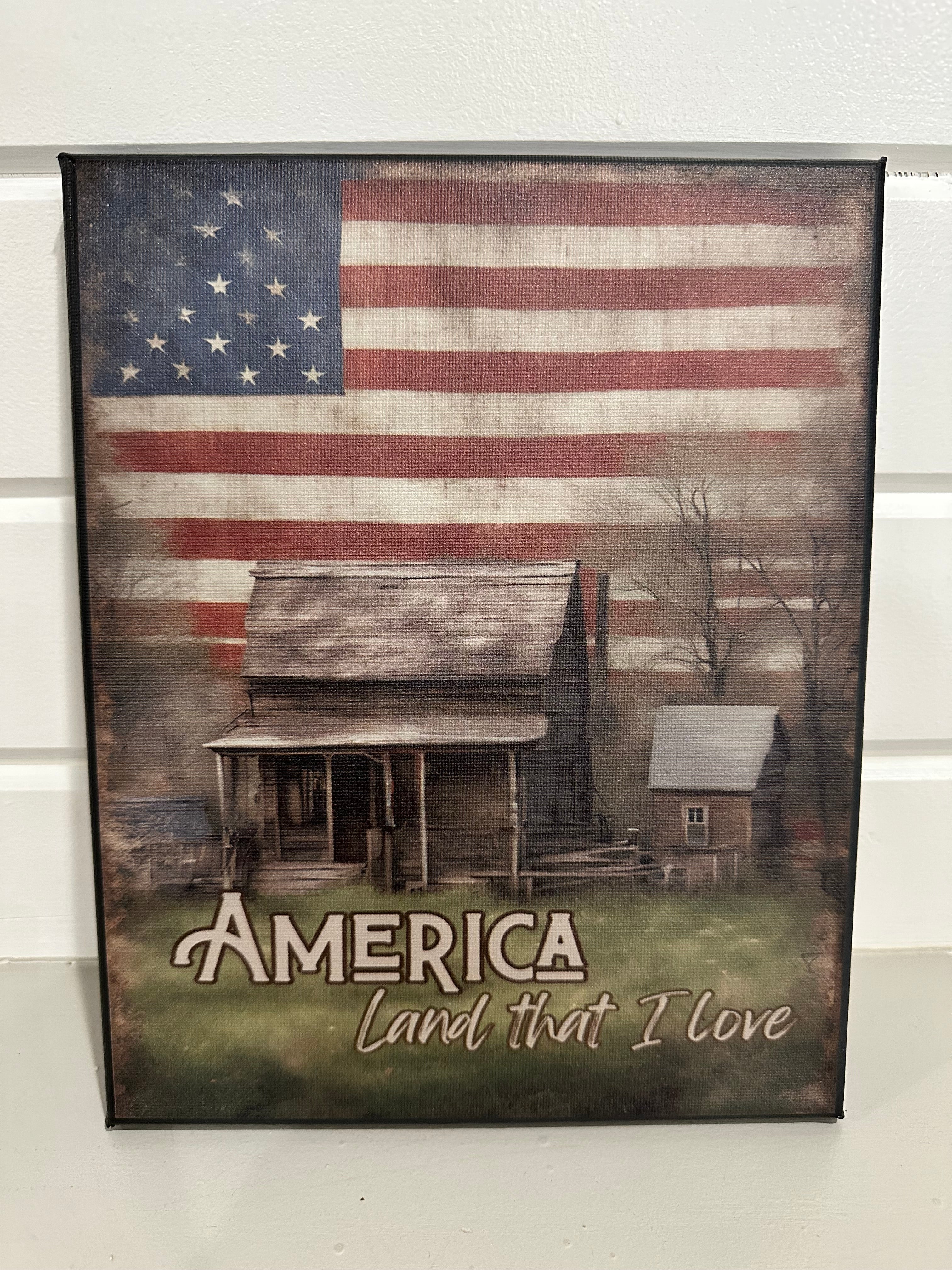 America Canvas