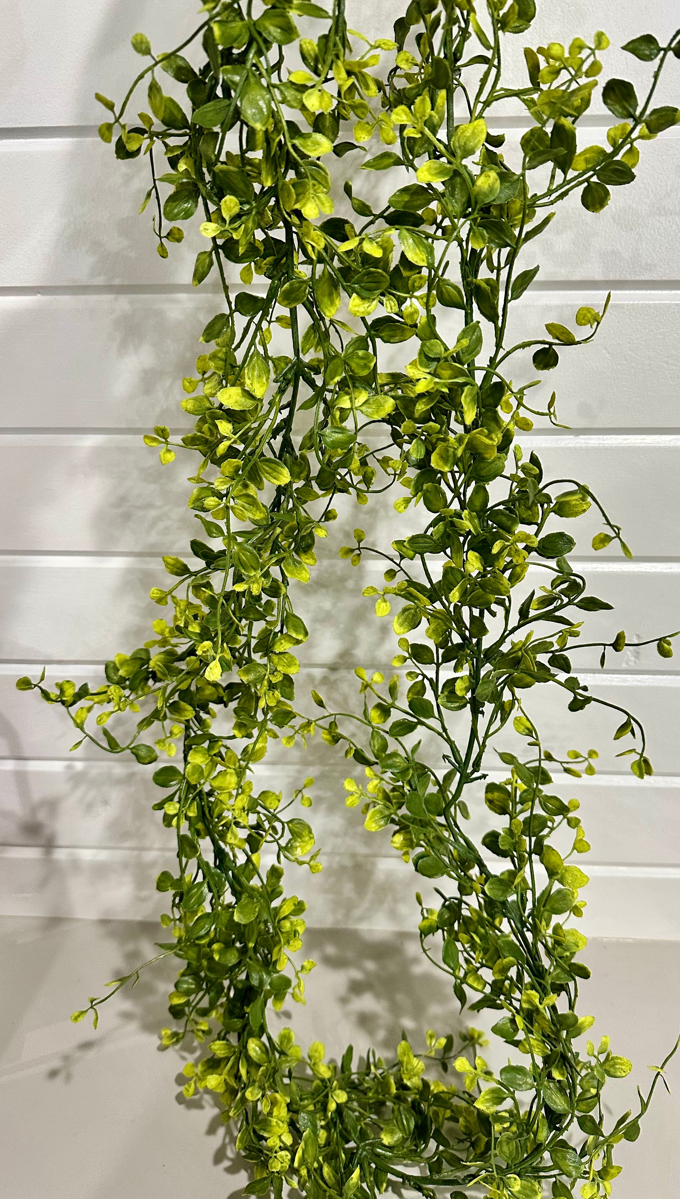 6’ Bog Pimpernel Everyday Garland