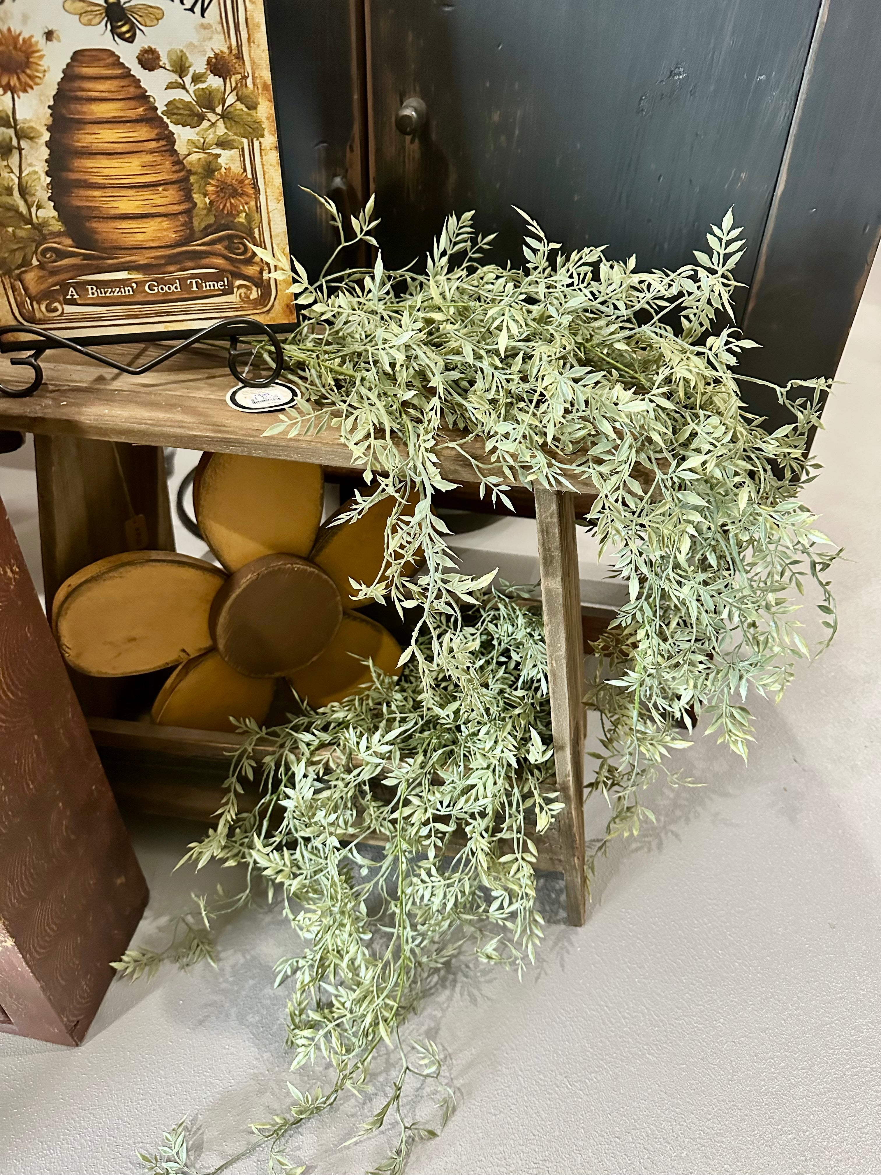 Eucalyptus Hanging
