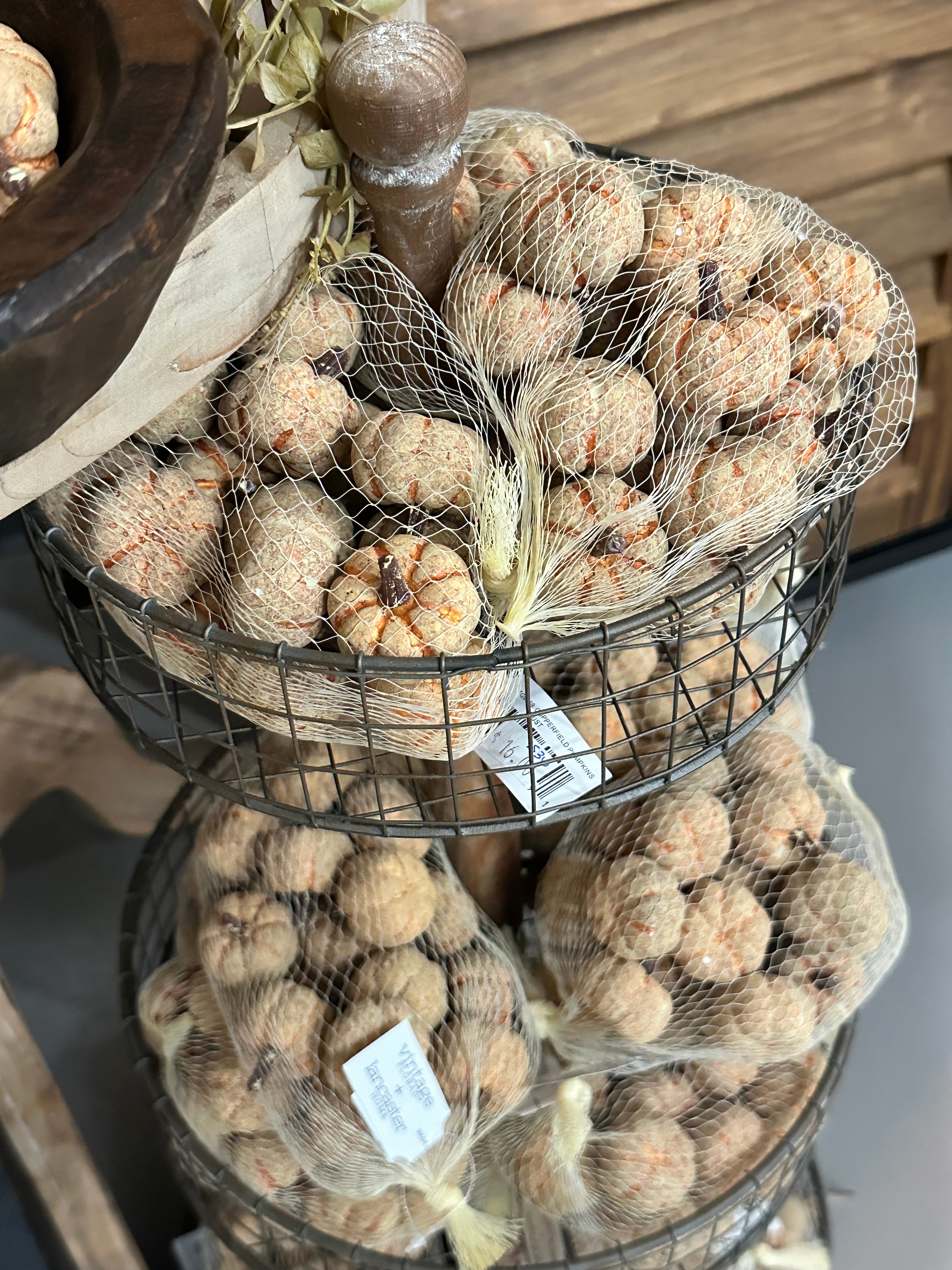 Bag of Copperfield Pumpkins
