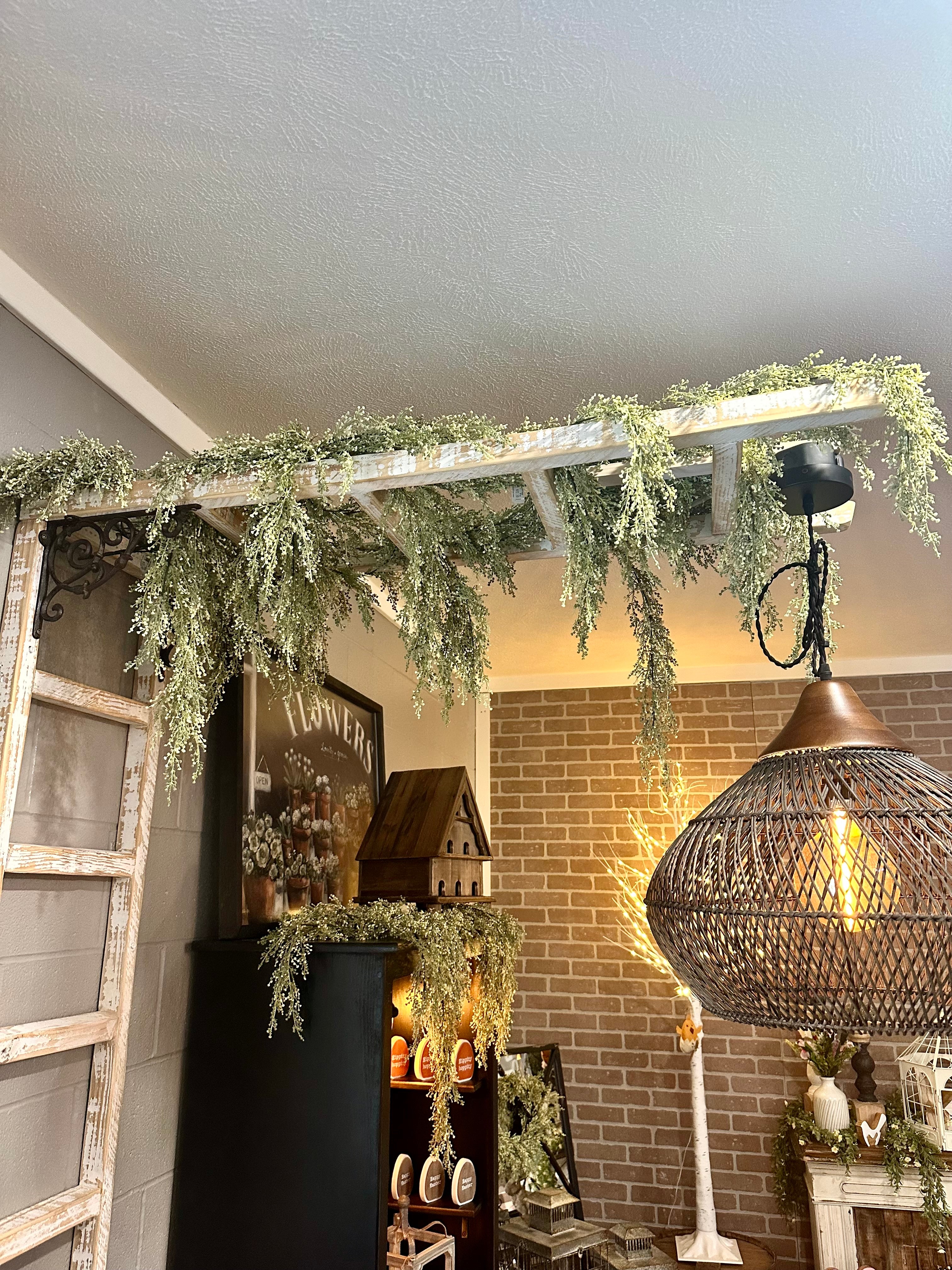 Frolic Berries Hanging
