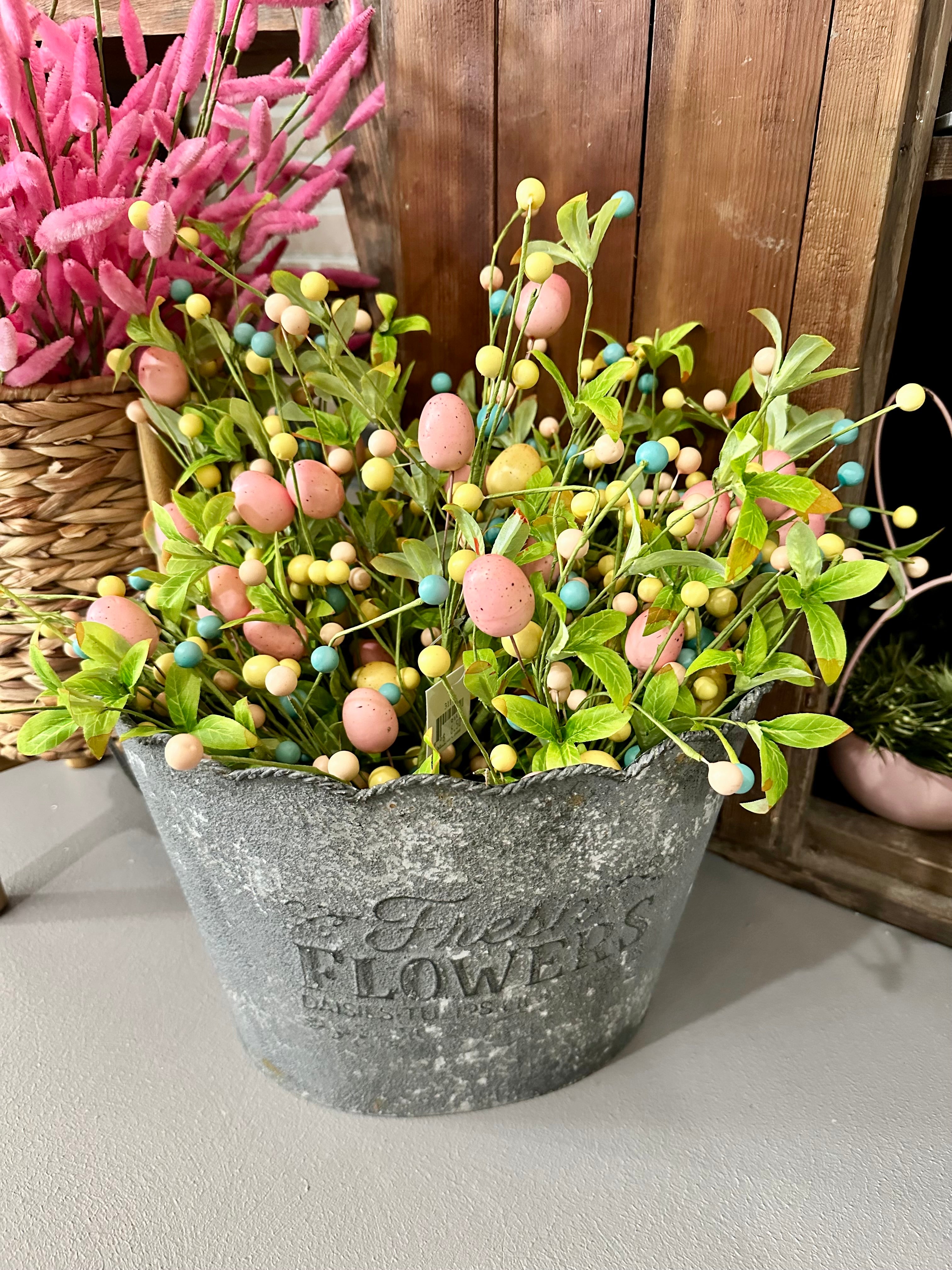 Easter Egg Bush