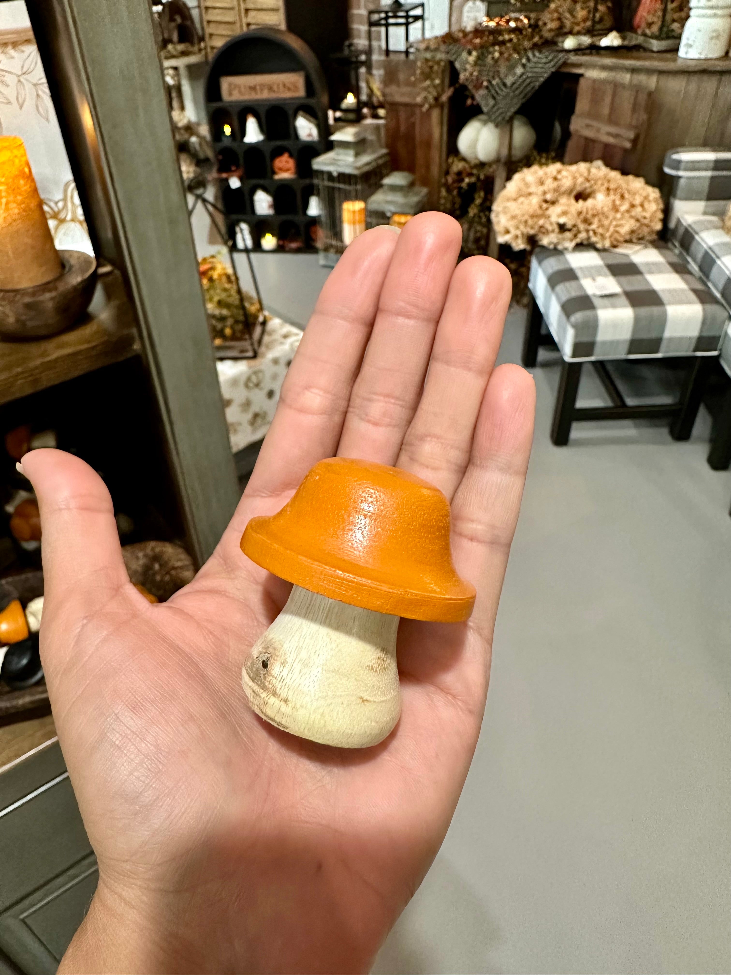 Mini Mushroom