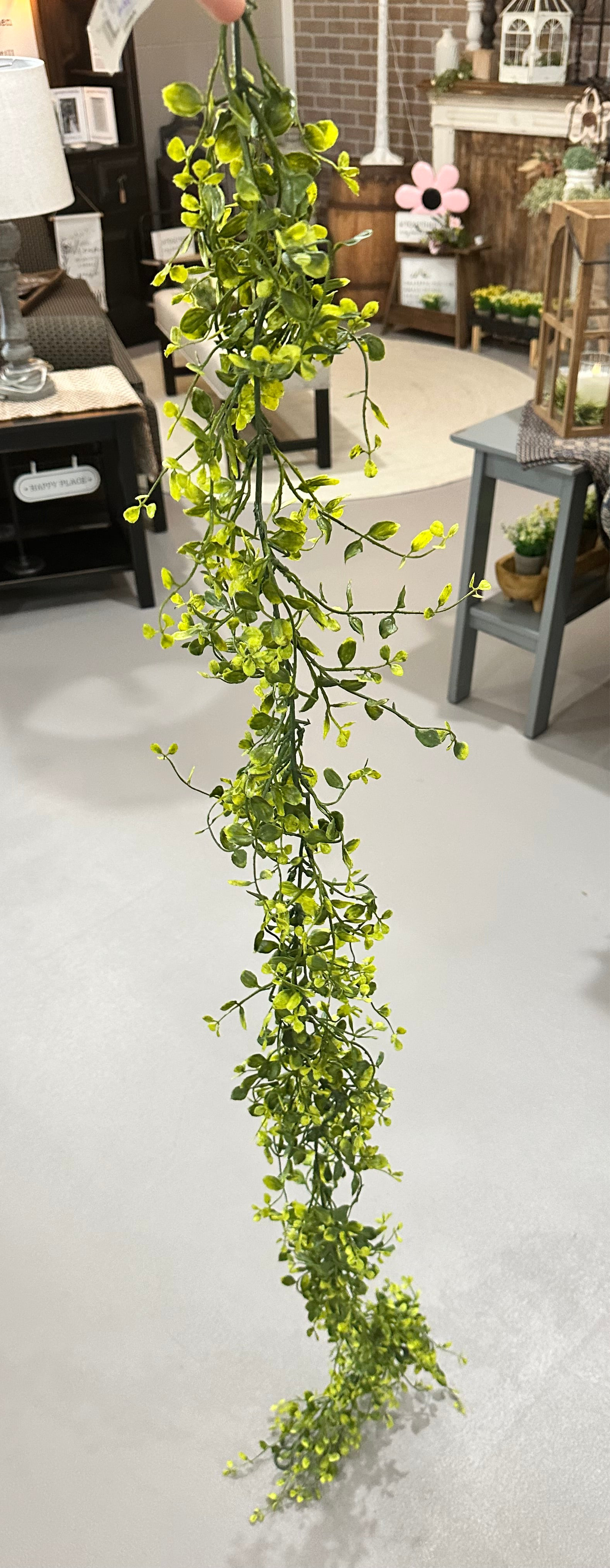 6’ Bog Pimpernel Everyday Garland