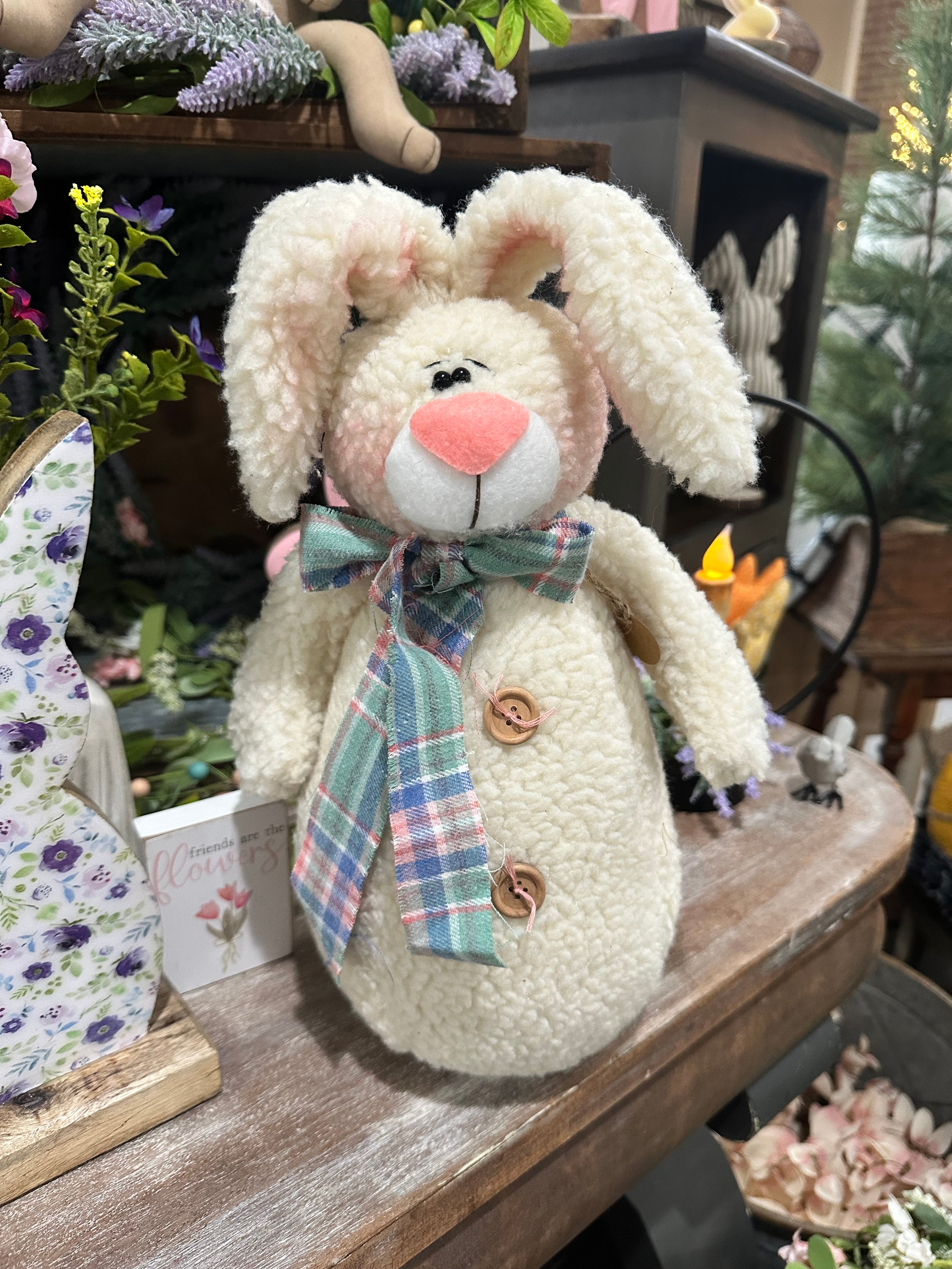 “Franklin” the Bunny