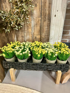 Mini Flower Pot