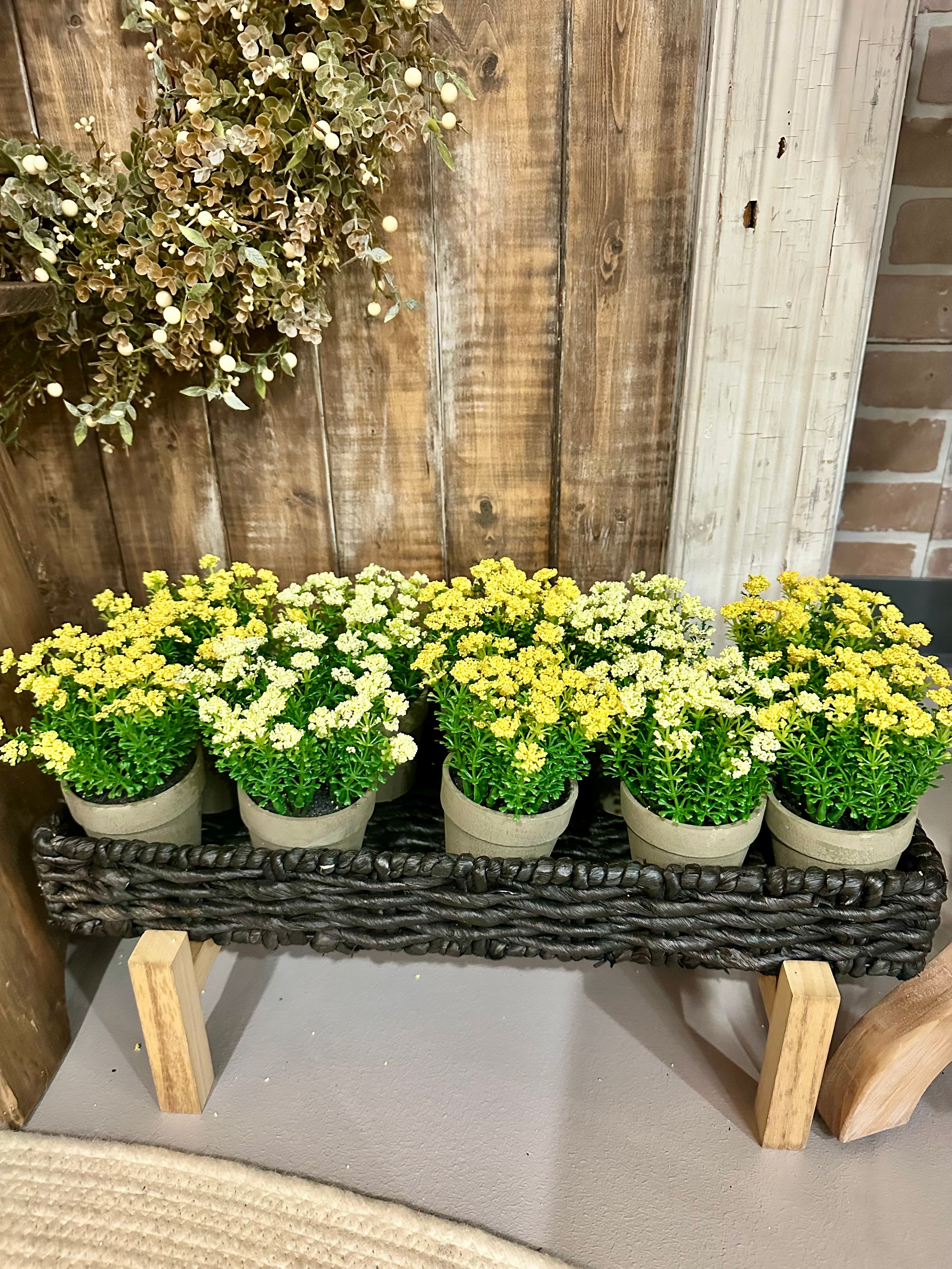 Mini Flower Pot