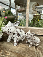 Distressed Resin Pig