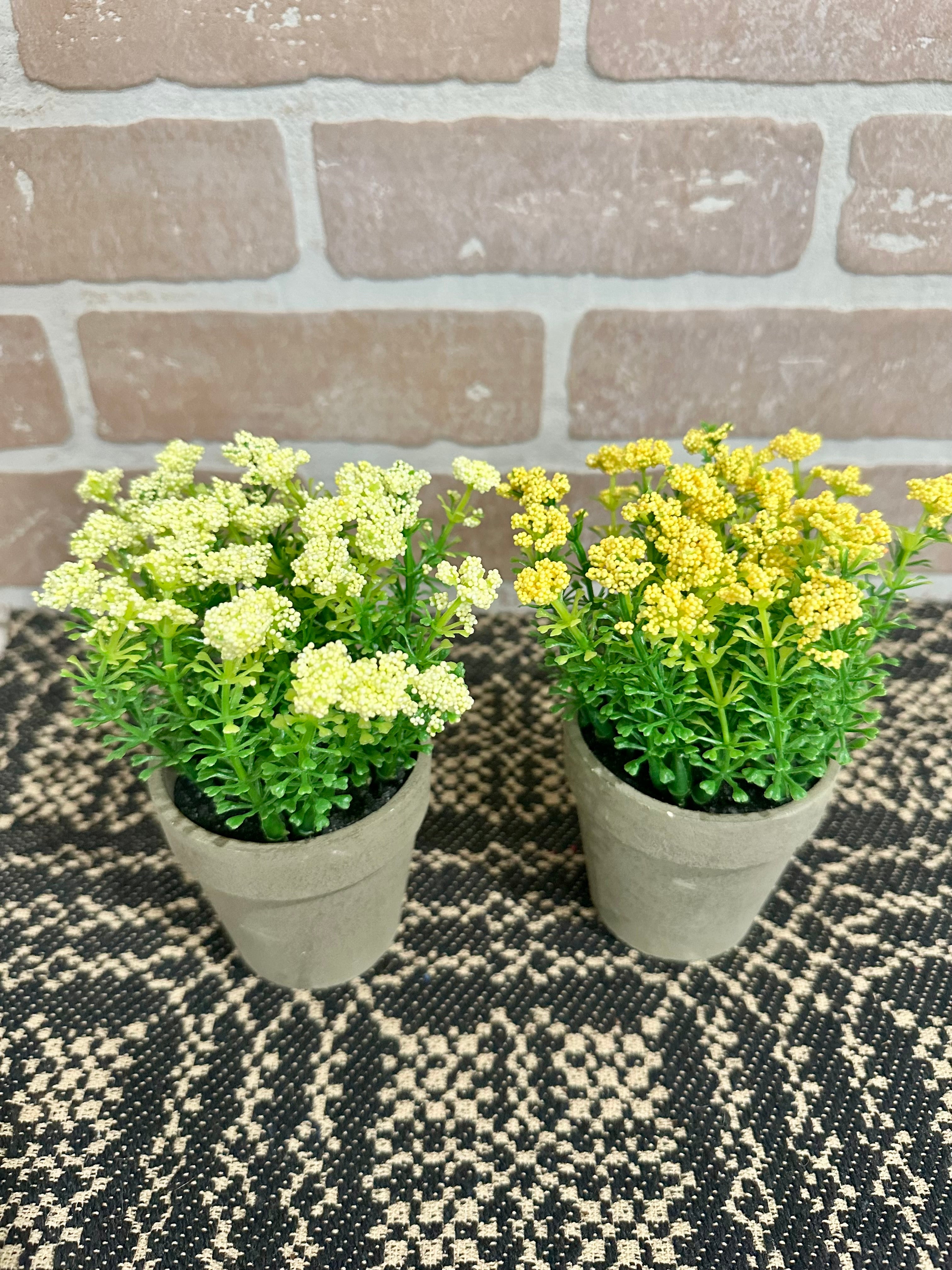 Mini Flower Pot