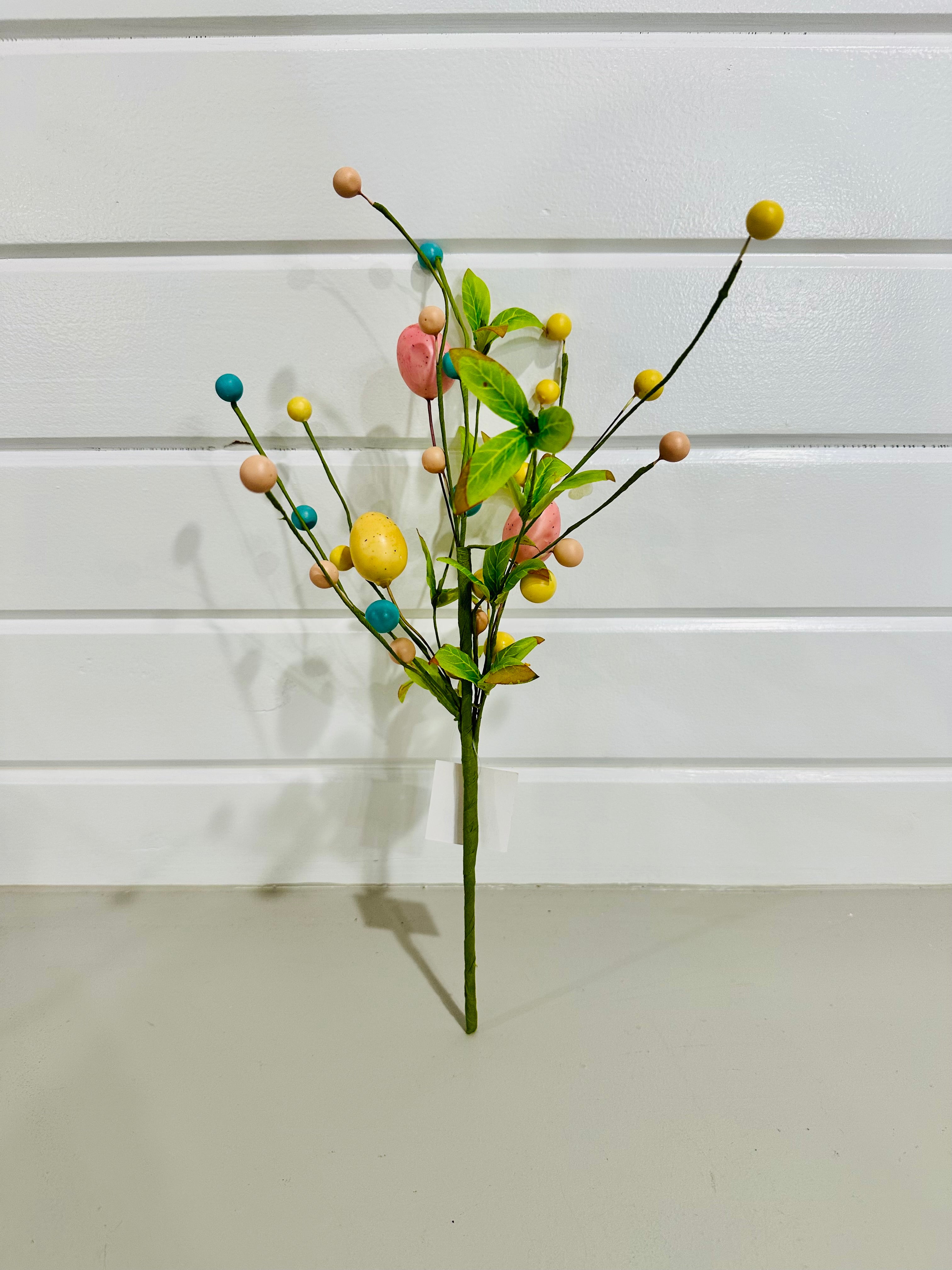 Easter Egg Bush