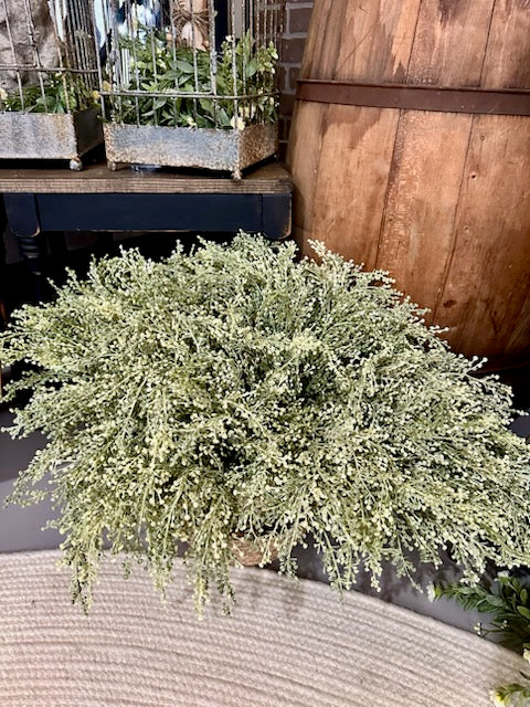 Frolic Berries Bush 18"